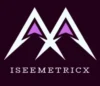 iseemetricx+logo+digital+marketing+expert